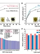 熊猫体育官方网站-NS碾压100T,Bwipo高光表现