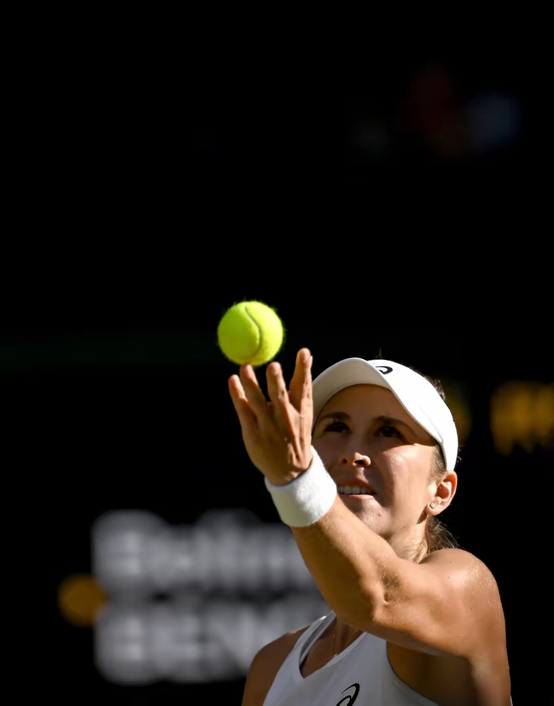 熊猫体育官方网站-戴维斯杯碾压温网，西西帕斯带队取胜的简单介绍